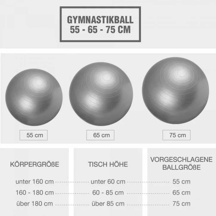 Gym Ball Fitness Ball 55cm - Grey