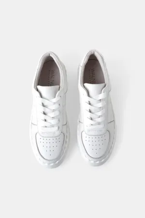 Houston Sneaker | White