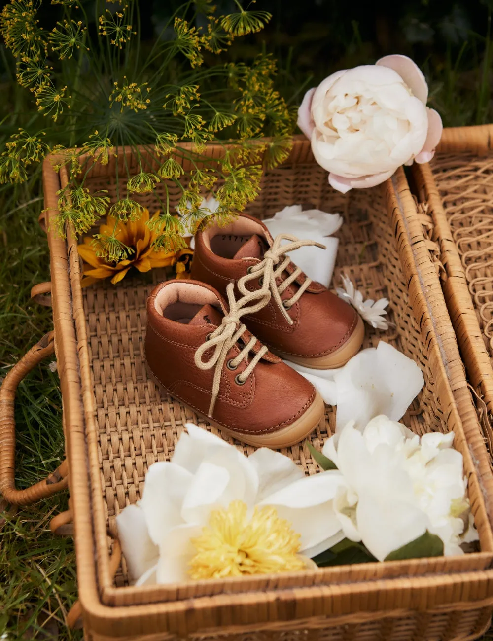 Mini Bootie Lace - Cognac